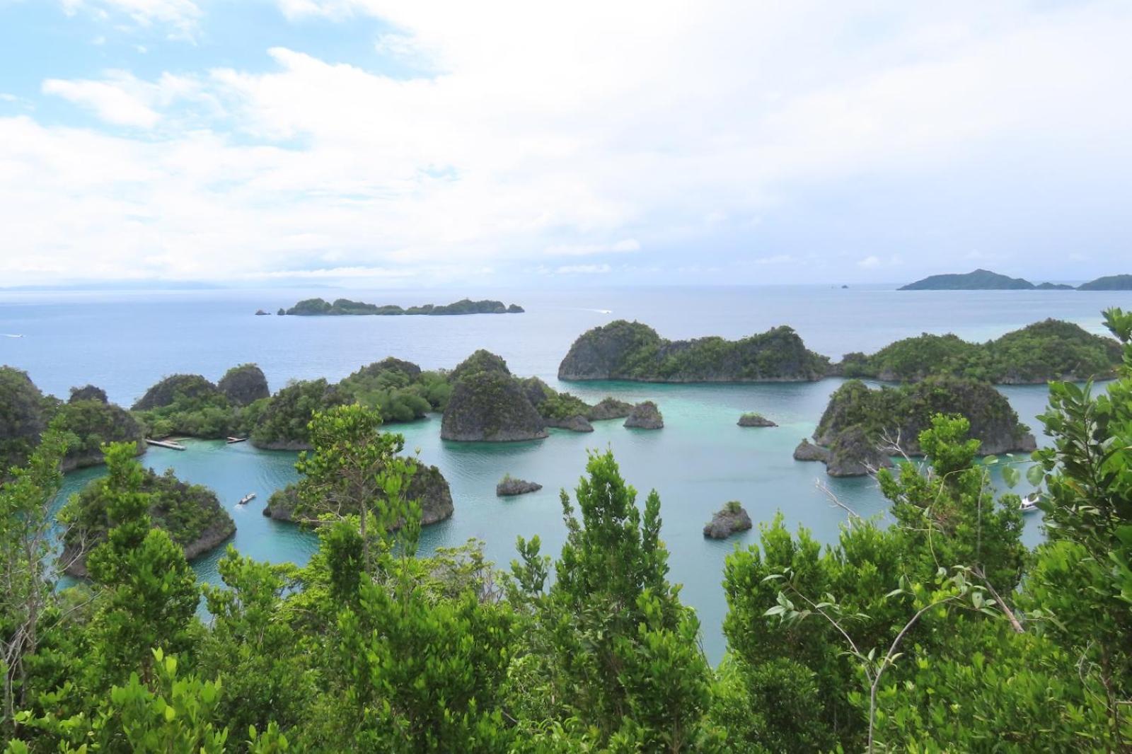 Nyanse Homestay - Raja Ampat Besir Экстерьер фото