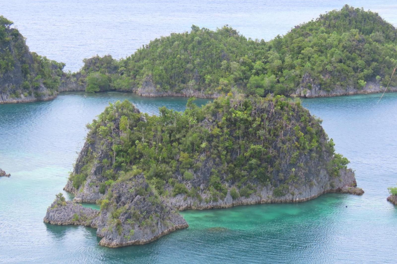 Nyanse Homestay - Raja Ampat Besir Экстерьер фото