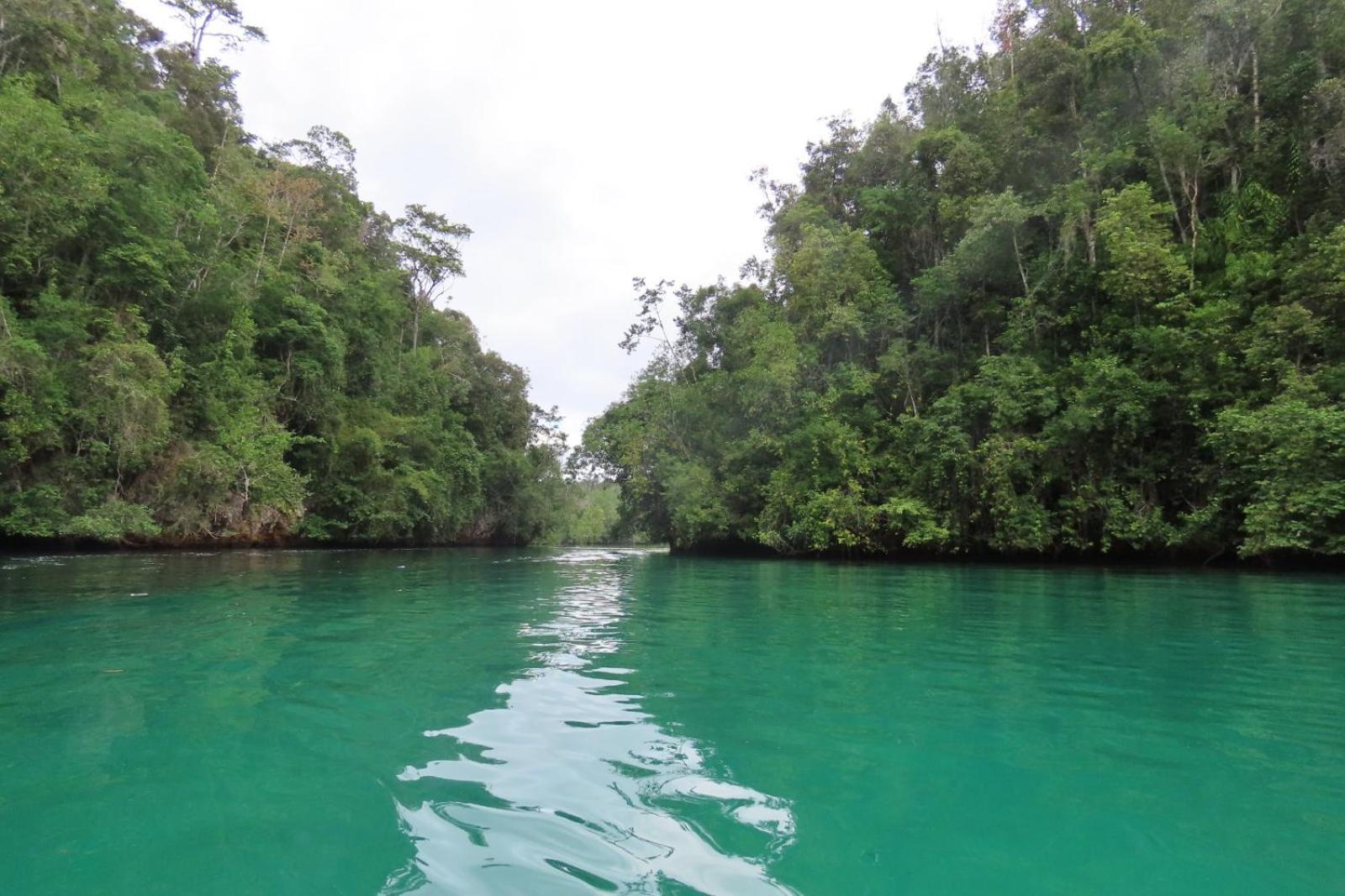 Nyanse Homestay - Raja Ampat Besir Экстерьер фото