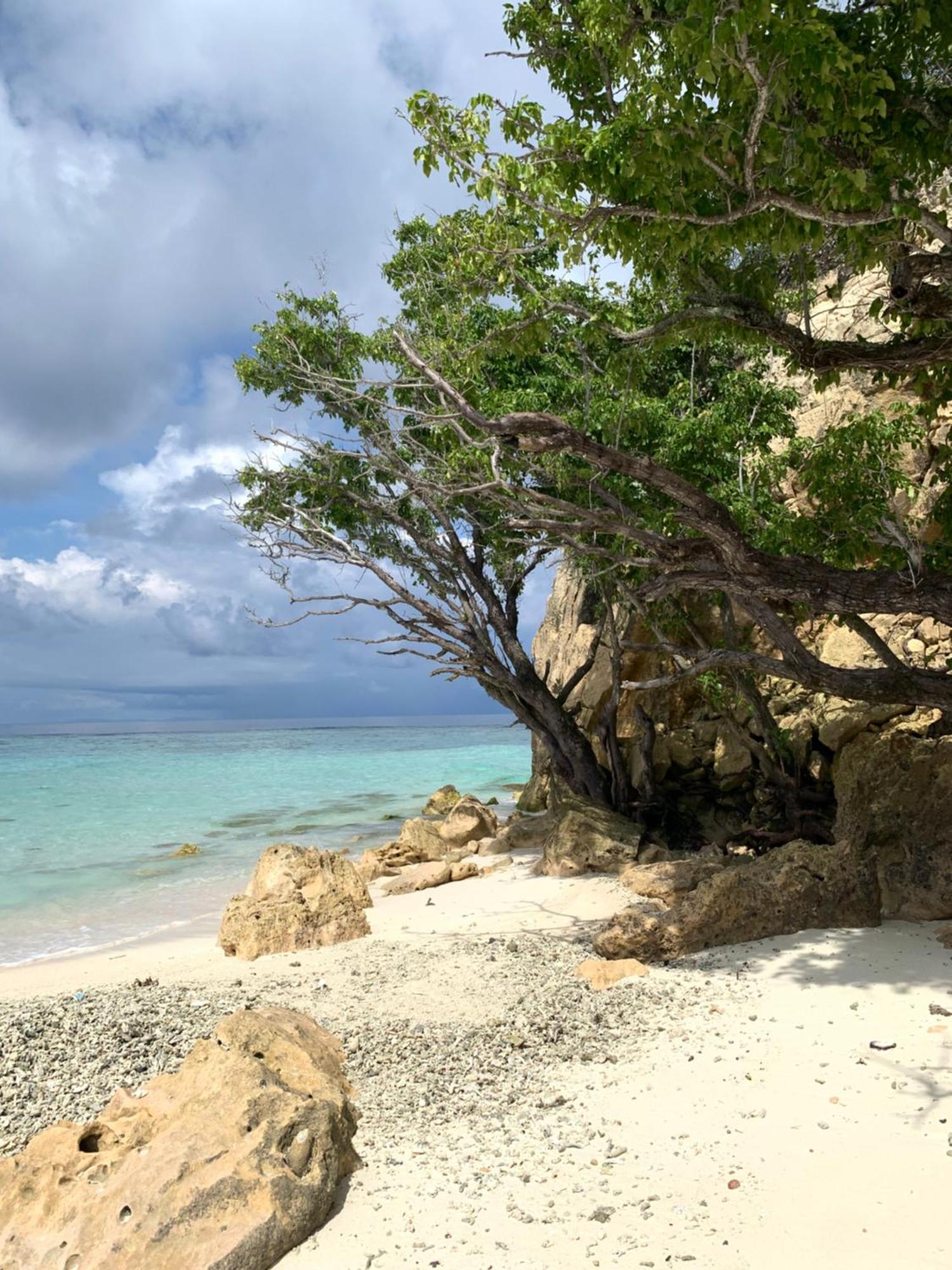 Nyanse Homestay - Raja Ampat Besir Экстерьер фото