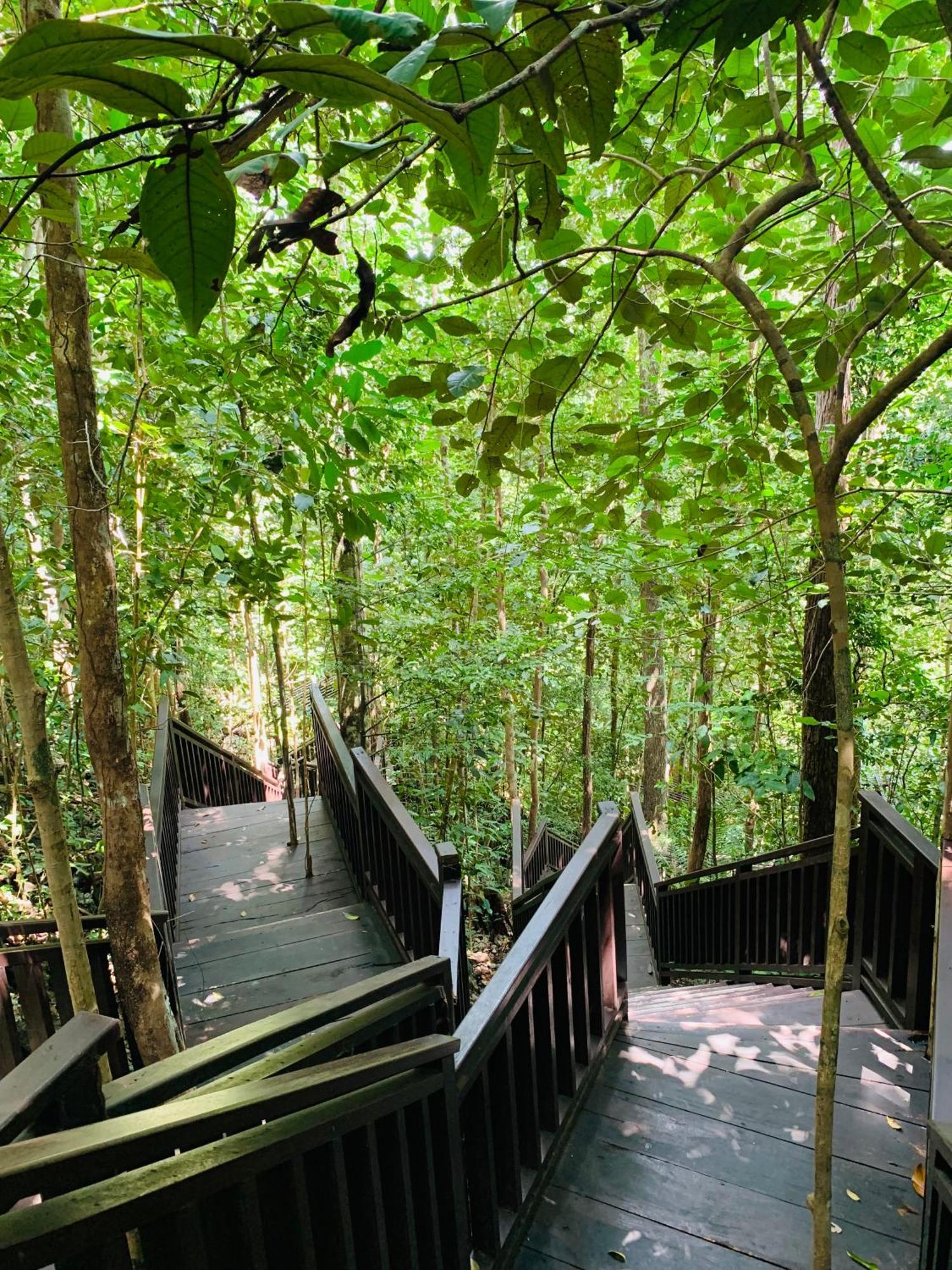 Nyanse Homestay - Raja Ampat Besir Экстерьер фото