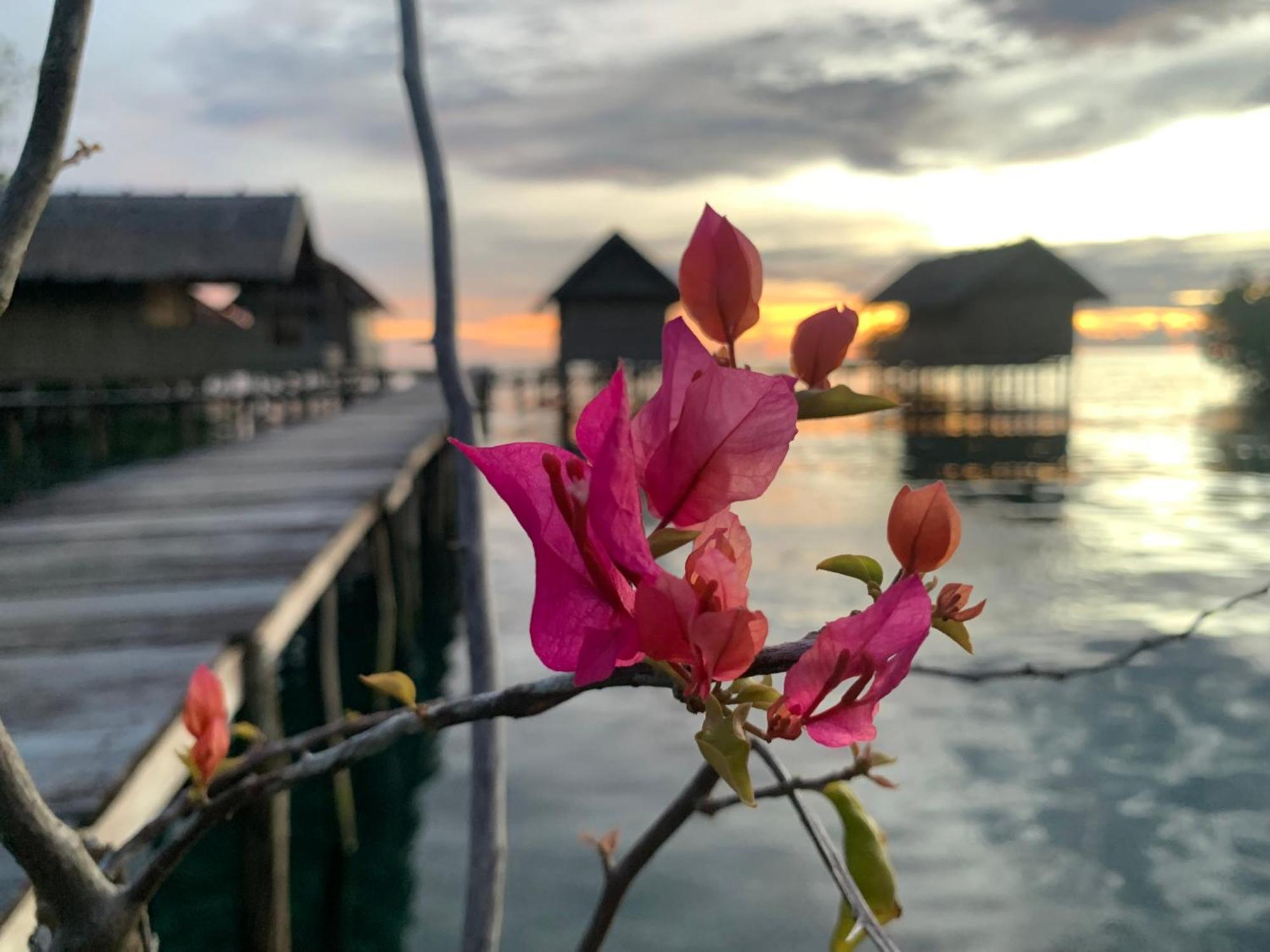 Nyanse Homestay - Raja Ampat Besir Экстерьер фото